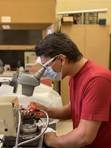 Honors Student looks through microscope