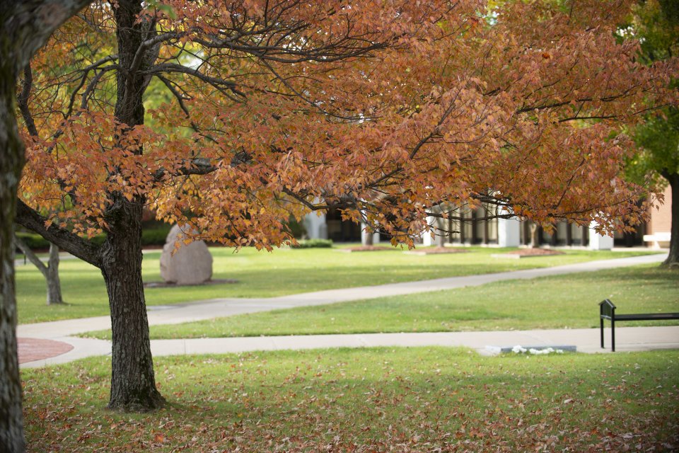 Campus Scenic - Fall 2015-64 Courtyard